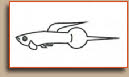 Pin Tail